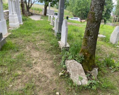 neidentifikovateľný zvyšok náhrobku, zarastený do koreňov stromu