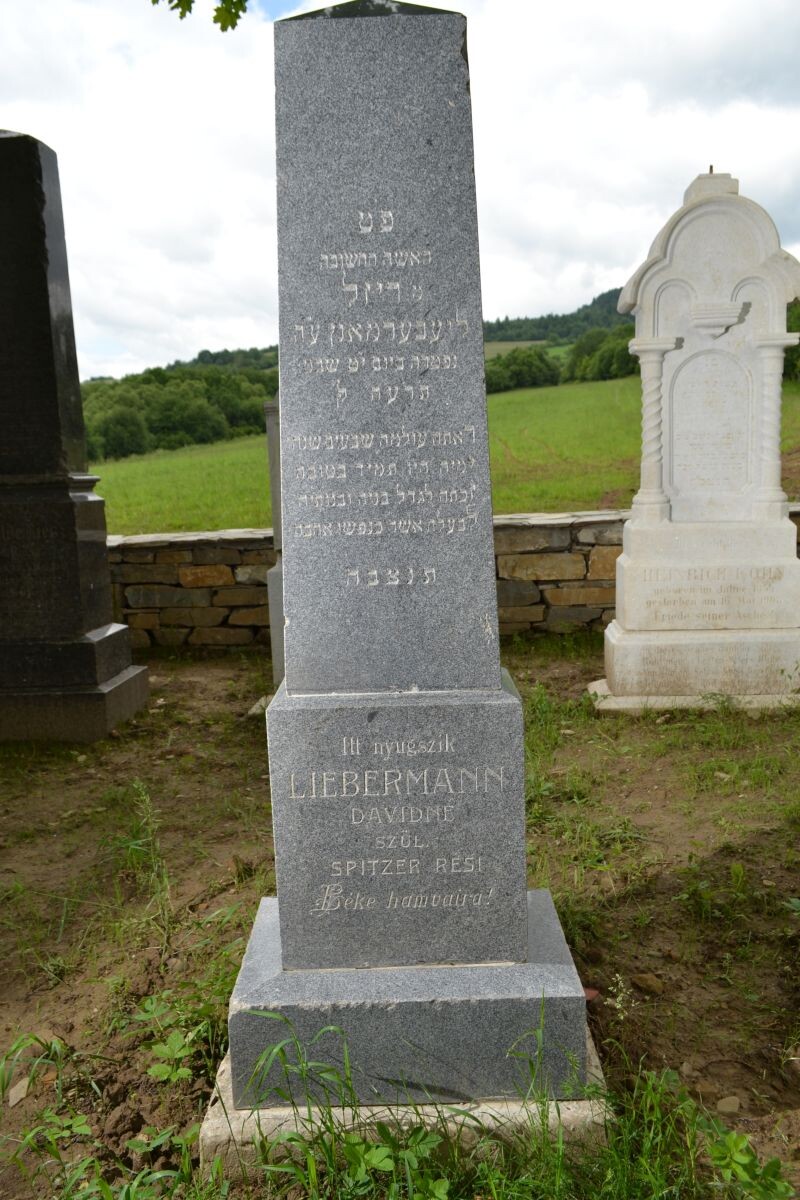 resi lieberman